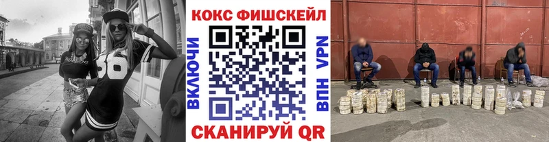 купить наркоту  Заозёрск  COCAIN FishScale 