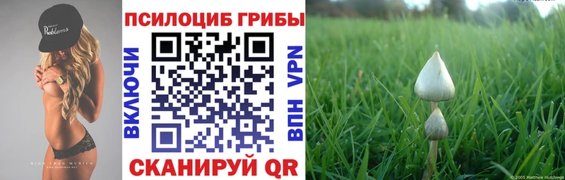 Галлюциногенные грибы MAGIC MUSHROOMS  ОМГ ОМГ сайт  Заозёрск 
