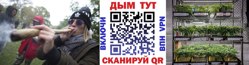 Бошки марихуана сатива  Заозёрск 